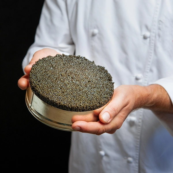 Single Caviar Box