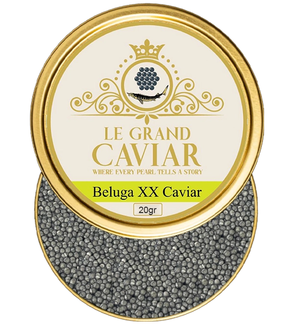 Beluga XX Caviar 20g