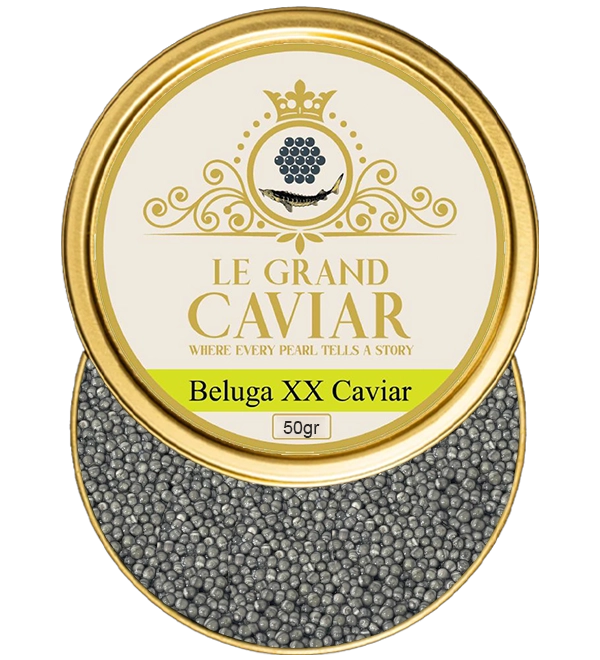 Beluga XX Caviar  50g