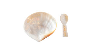 Mother of Pearl Spoon (non-engraved):