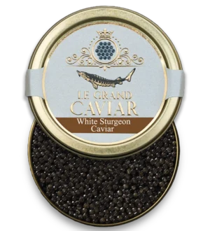 Italian White Sturgeon Caviar