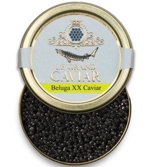 Beluga XX Caviar 20g