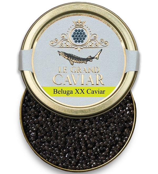 Beluga XX Caviar 250g