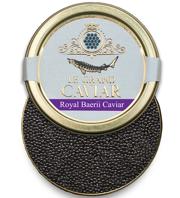 Royal Baerii